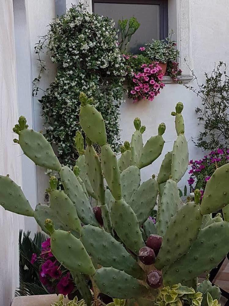 Nardò Palazzo Volta Boutique Luxury B&B المظهر الخارجي الصورة